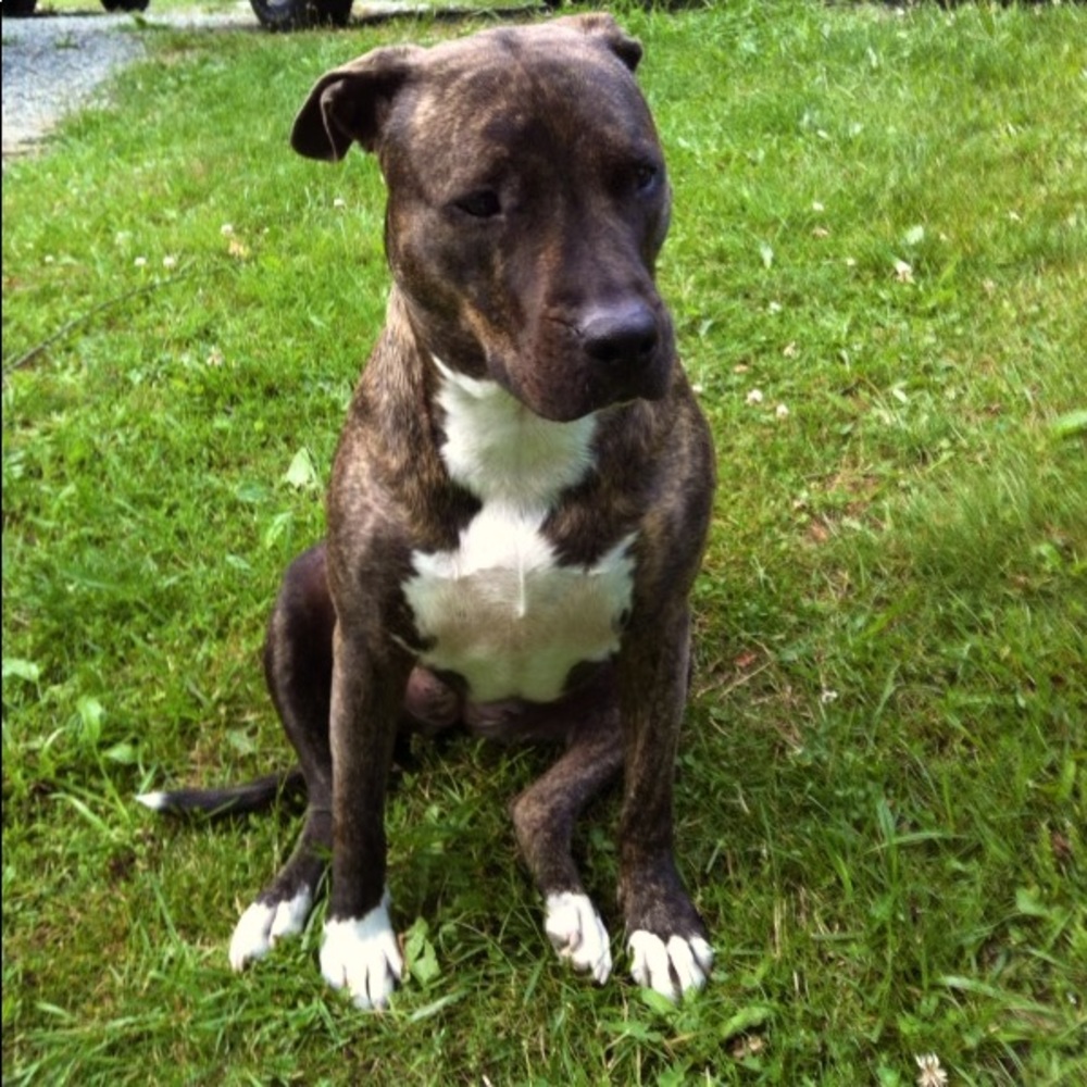 Meet your Posher, Missy